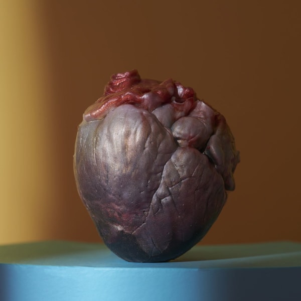 Crimson Human Heart Stress-Ball